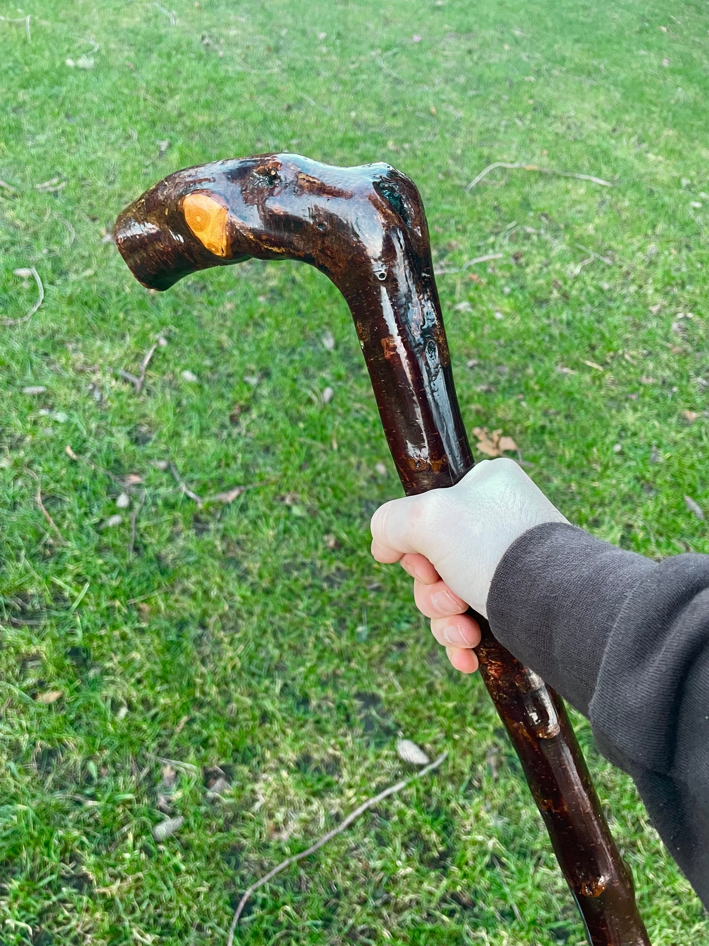 walking stick with comfortable Handle