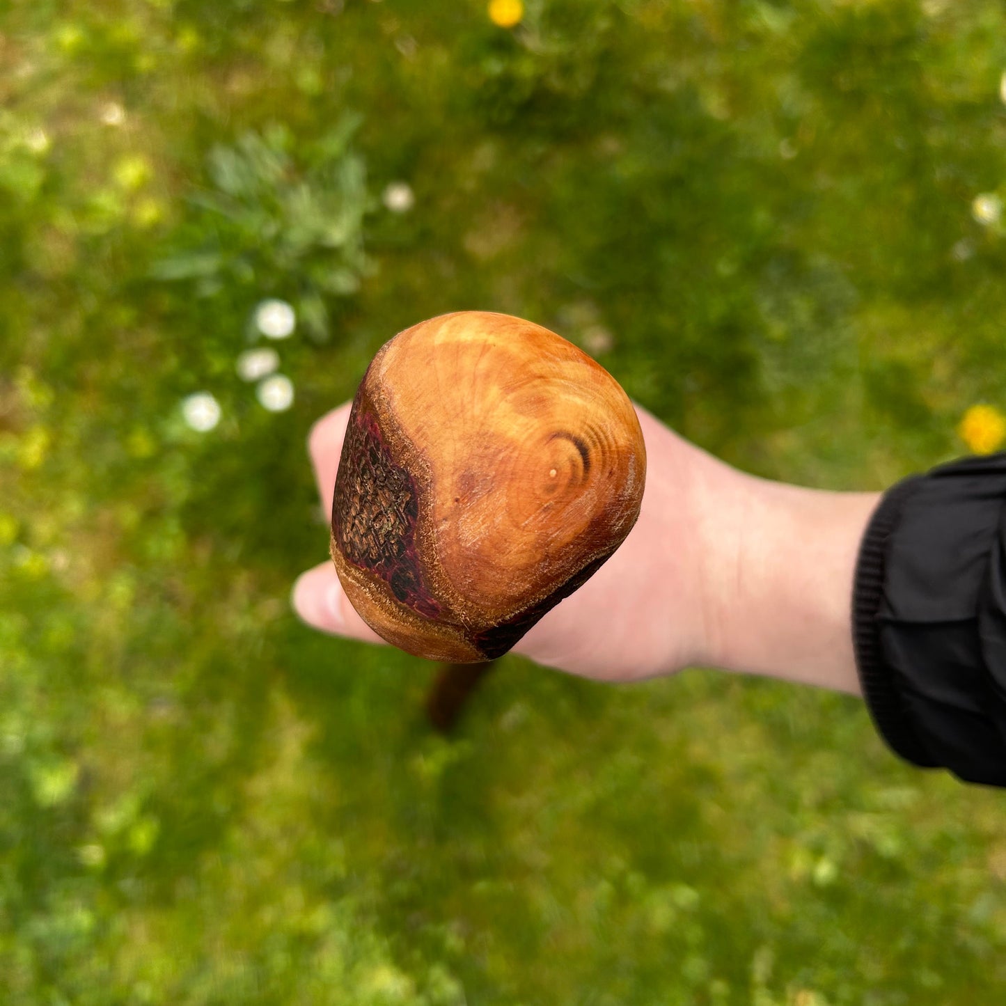 Blackthorn Shillelagh with Small Knob Head – 89 cm (35”)