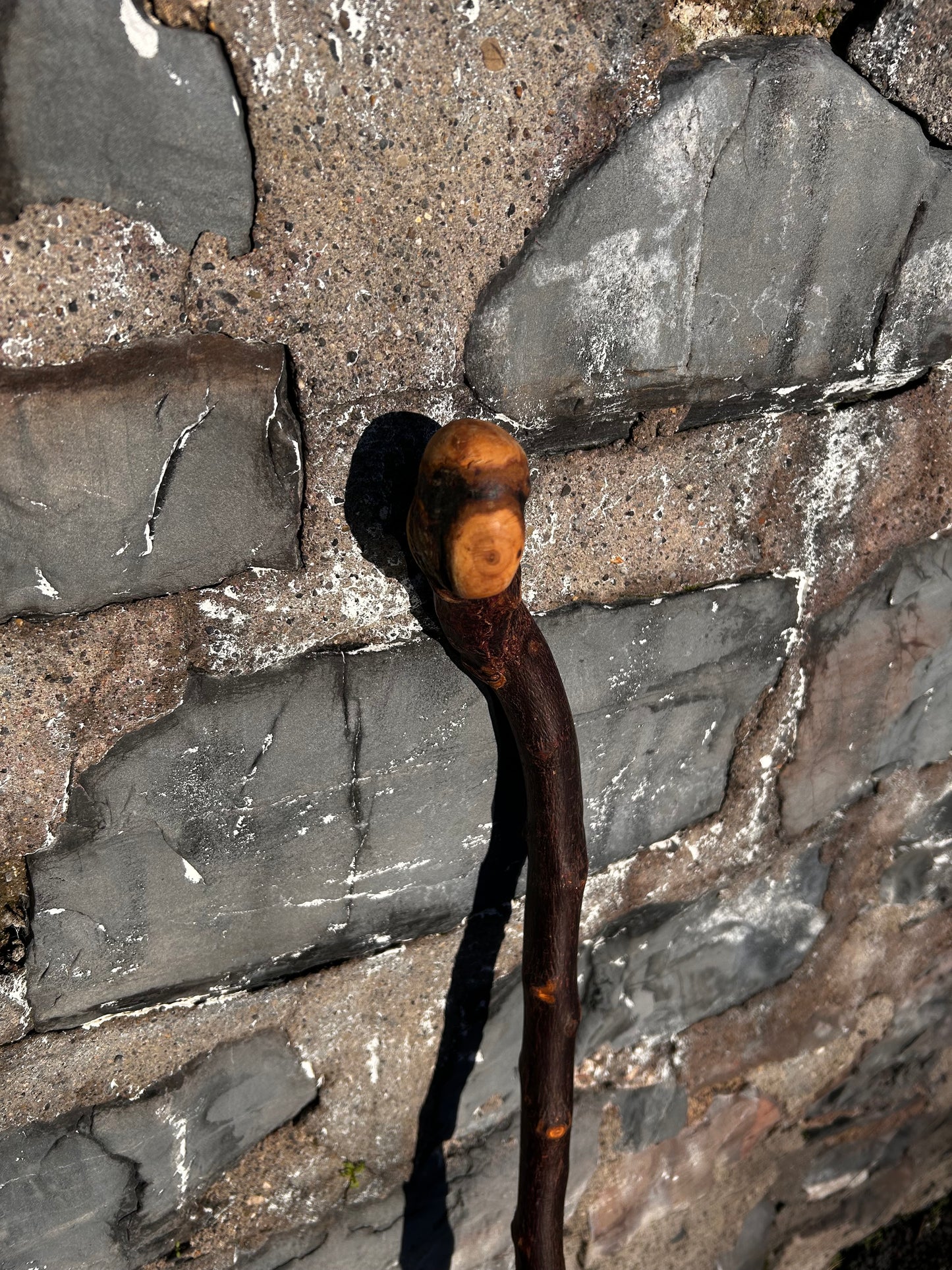 Blackthorn Shillelagh with Large Rugged Handle – 94 cm (37”)