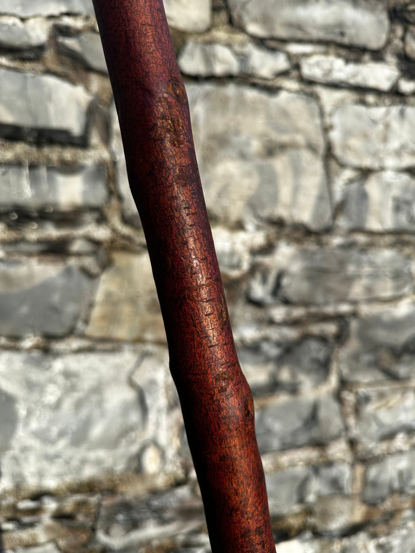 Blackthorn Walking Stick with Sloped L Handle – 97 cm (38.1”)