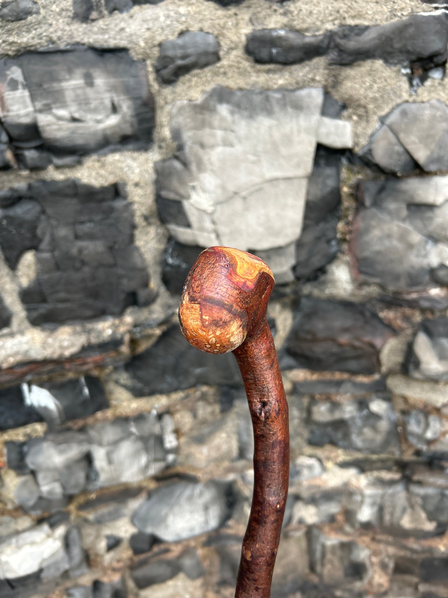 Blackthorn Walking Stick with Knob Head – 100 cm (39.4”)