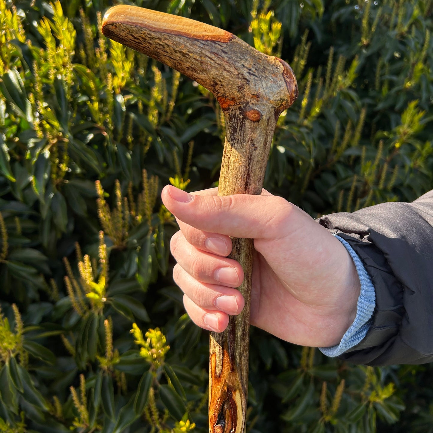 Hazel “Door Knocker” Shillelagh – 90 cm (35.4”)