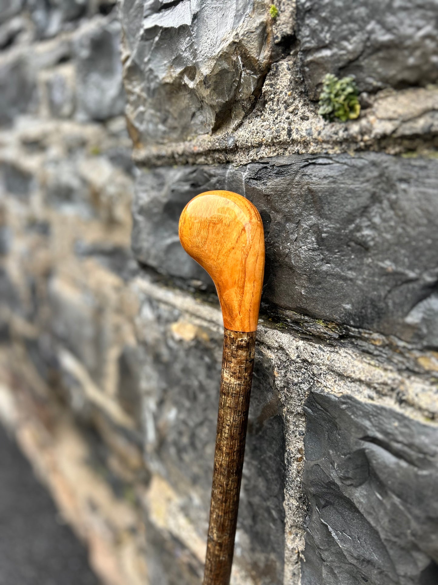 Two-Piece Hazel Walking Stick with Spalted Beech Head – 90 cm (35.4”)