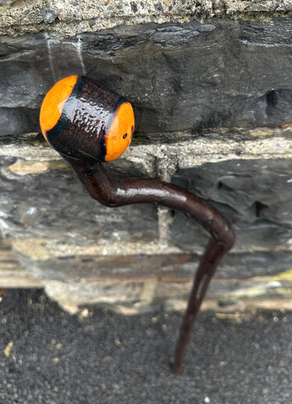 Unique Twisted Blackthorn Walking Stick – 101 cm (39.7”)