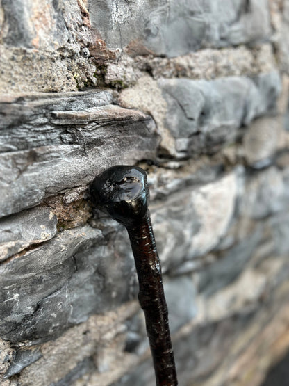 Black-Painted Blackthorn Walking Stick with Smooth Round Handle – 100 cm (39.4”)