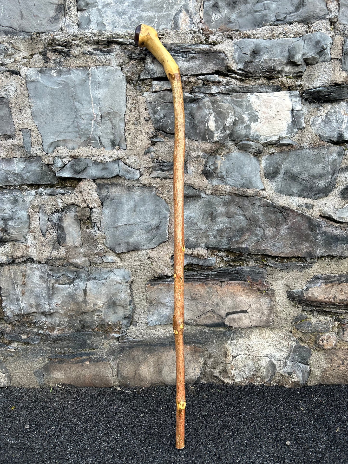 Luxury Hazel Walking Stick with Dark Varnished Head – 108 cm (42.5”)