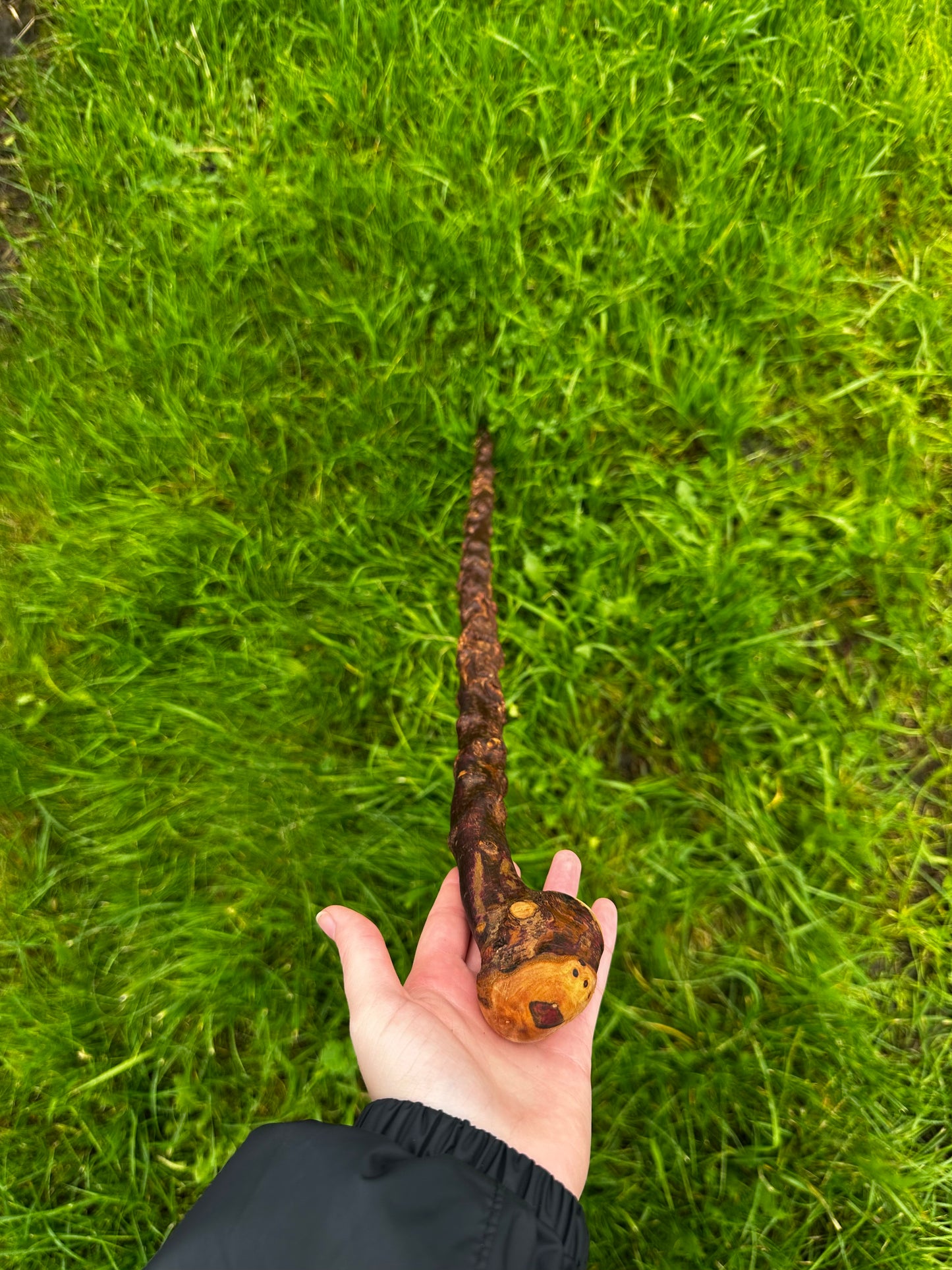 sold -Rare Knuckled Blackthorn Walking Stick with Knob Head – 96 cm (37.7”)