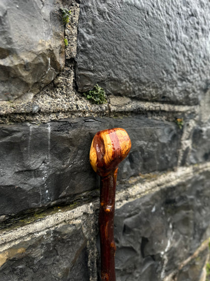 sold -Unique Knuckled Blackthorn Walking Stick with Knob Head – 100 cm (39.4”)