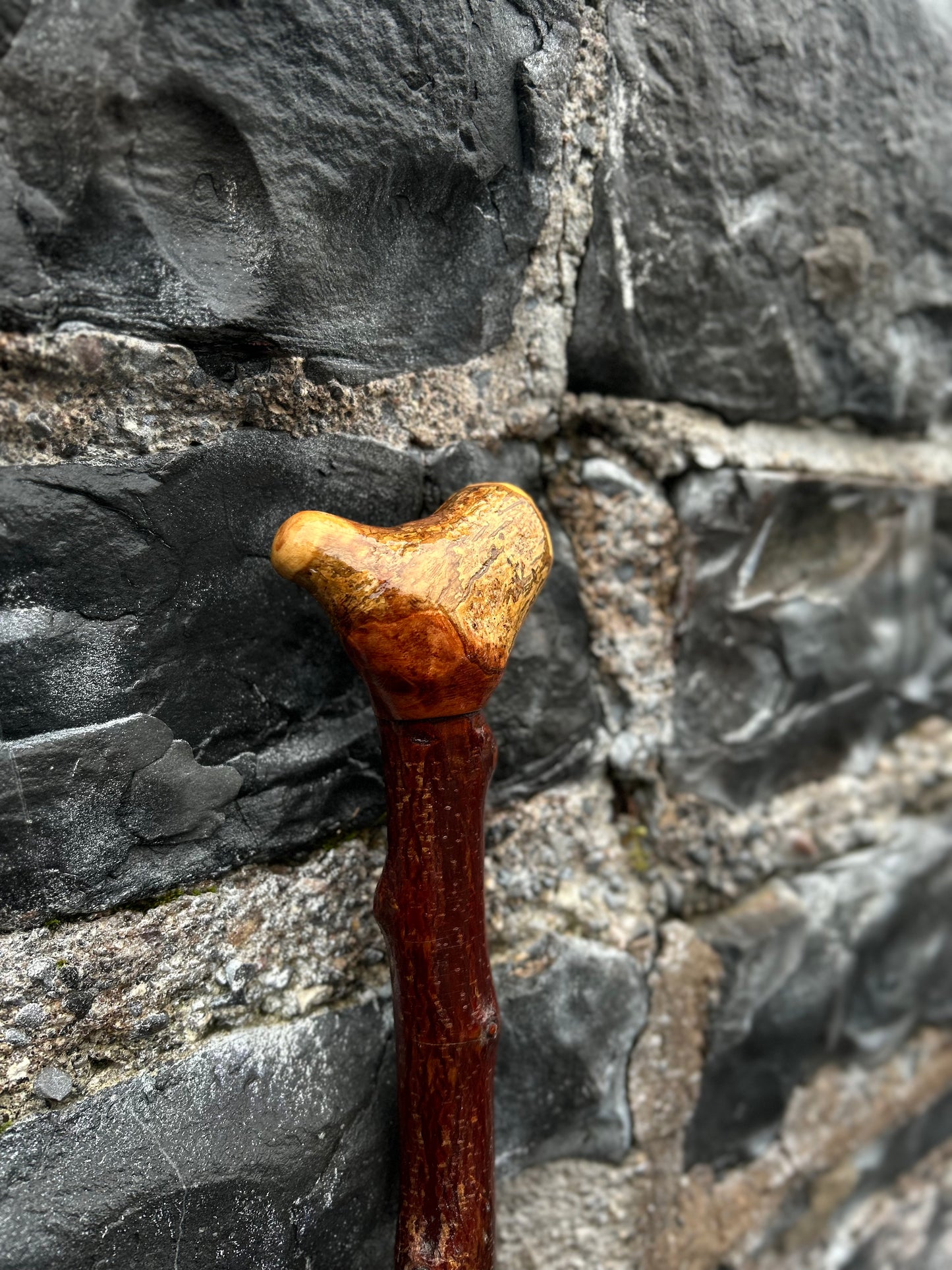 Bumpy Blackthorn Walking Stick with Knob Head – 116 cm (45.6”)