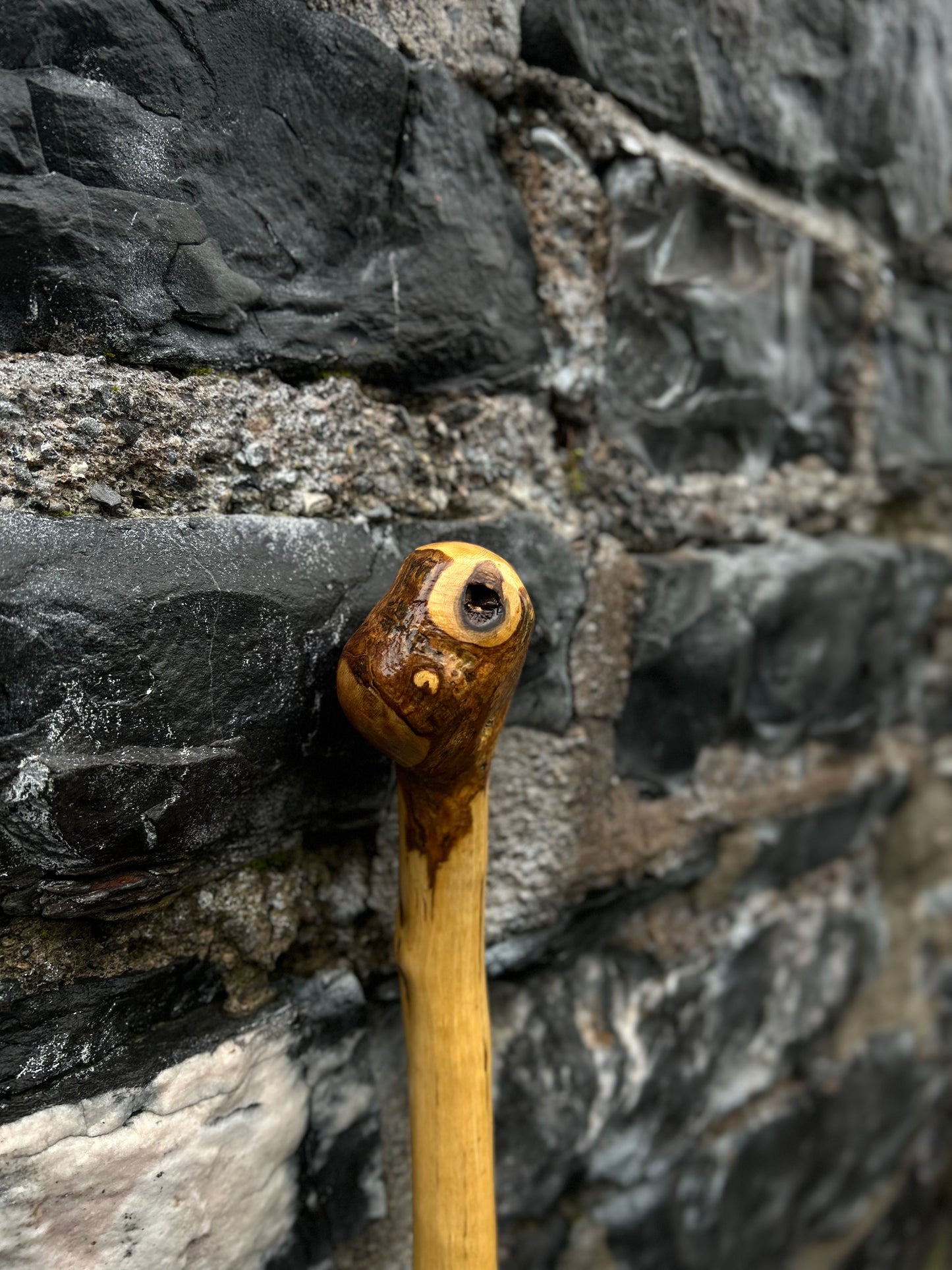 Classic Hazel Walking Stick with Knob Head – 104 cm (40.9”)