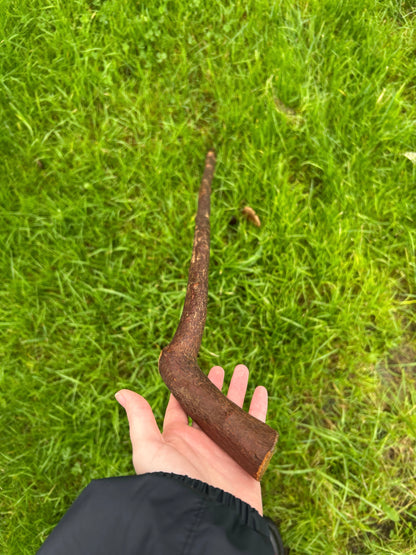 Sloped Blackthorn Hiking Stick – 103 cm (40.5”)