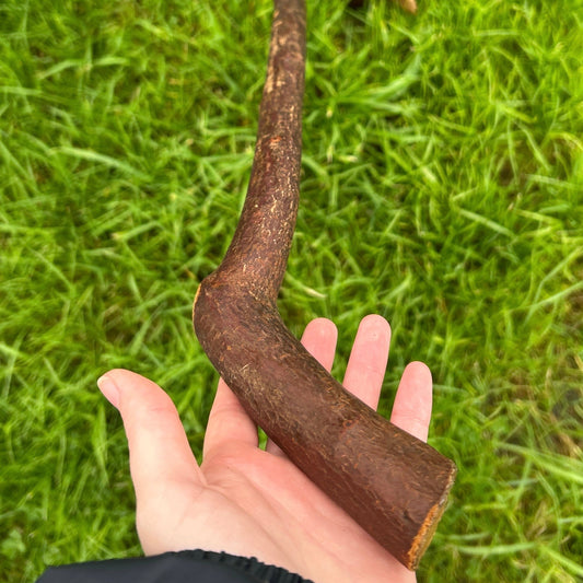 Sloped Blackthorn Hiking Stick – 102 cm (40”)