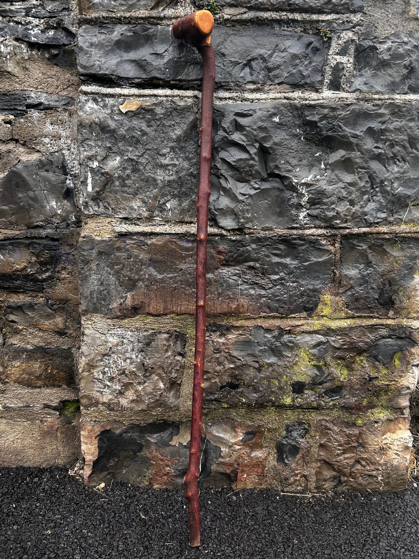 Sold - Blackthorn Walking Stick with Large T-Style Handle – 102 cm (40.1”)