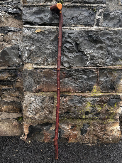 Sold - Blackthorn Walking Stick with Large T-Style Handle – 102 cm (40.1”)