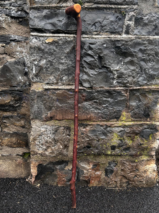 Sold - Blackthorn Walking Stick with Large T-Style Handle – 102 cm (40.1”)