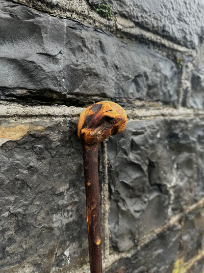 Rootball Blackthorn Walking Stick with Natural Character – 89 cm (35”)