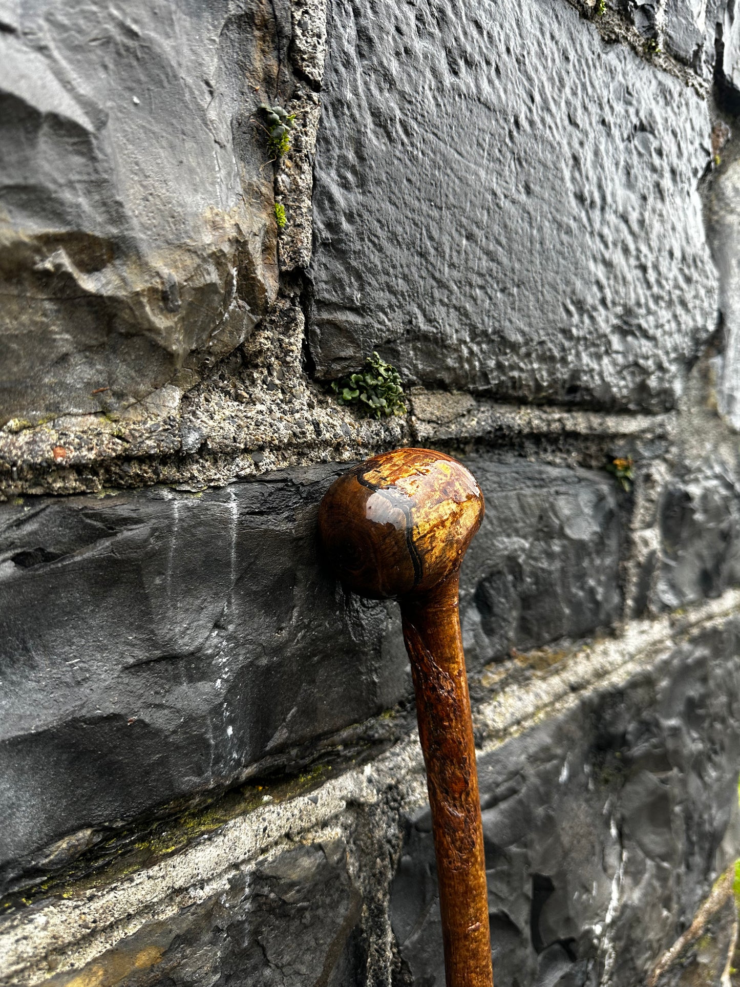 Sold - Hazel Walking Stick with Large Knob Head – 103 cm (40.5”)