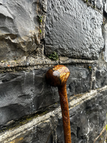 Sold - Hazel Walking Stick with Large Knob Head – 103 cm (40.5”)