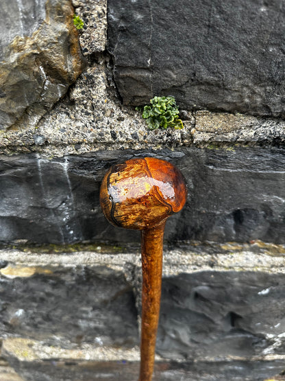 Sold - Hazel Walking Stick with Large Knob Head – 103 cm (40.5”)