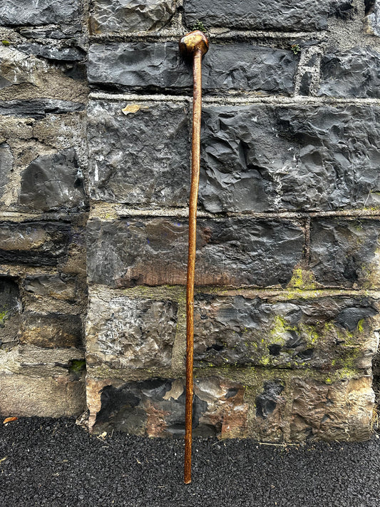 Sold - Hazel Walking Stick with Large Knob Head – 103 cm (40.5”)