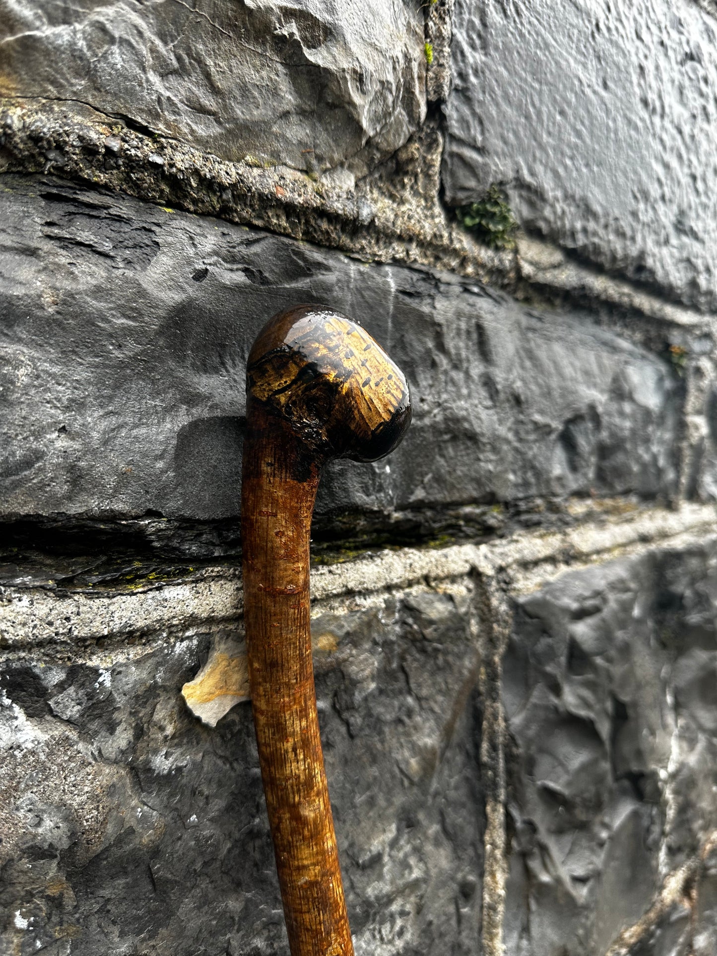 Sold - Unique Hazel Walking Stick with Finished Head – 98 cm (38.5”)