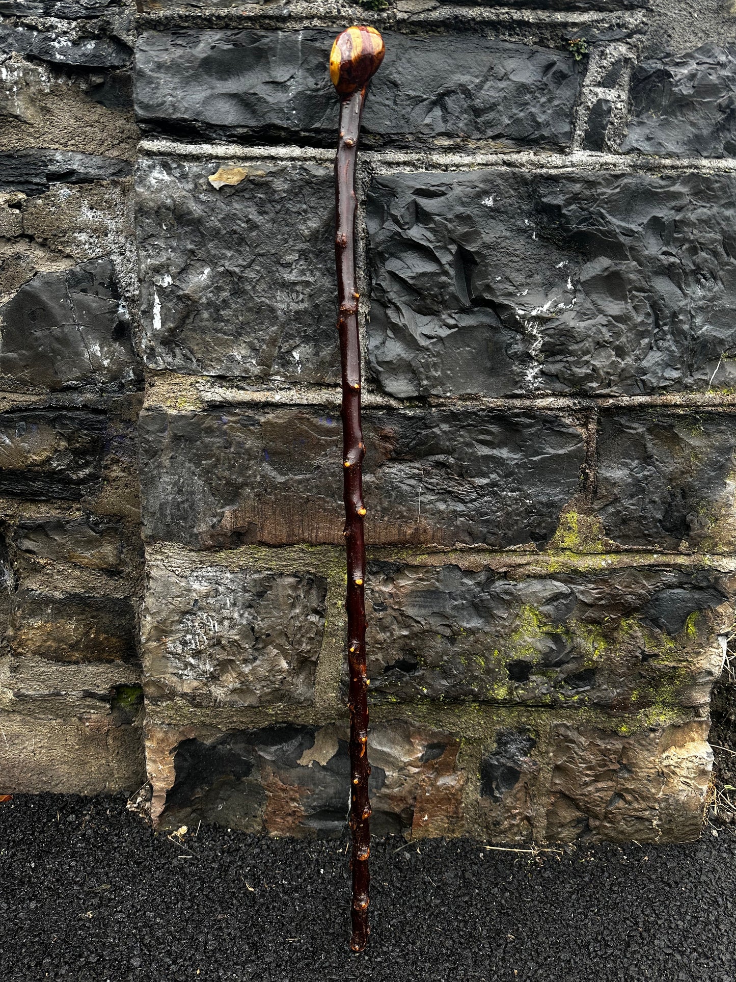 sold -Unique Knuckled Blackthorn Walking Stick with Knob Head – 100 cm (39.4”)