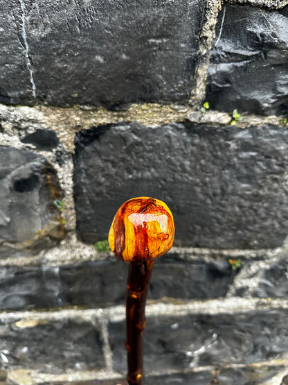sold -Unique Knuckled Blackthorn Walking Stick with Knob Head – 100 cm (39.4”)
