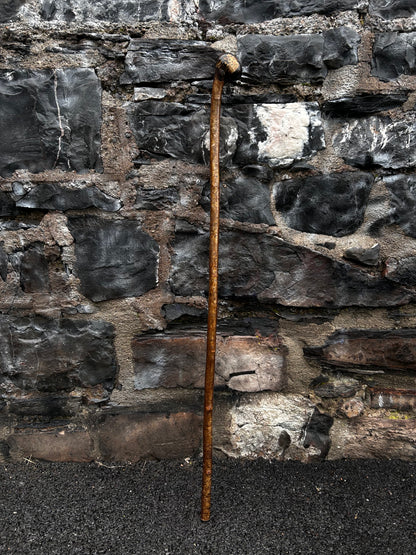 Sold - Unique Hazel Walking Stick with Finished Head – 98 cm (38.5”)