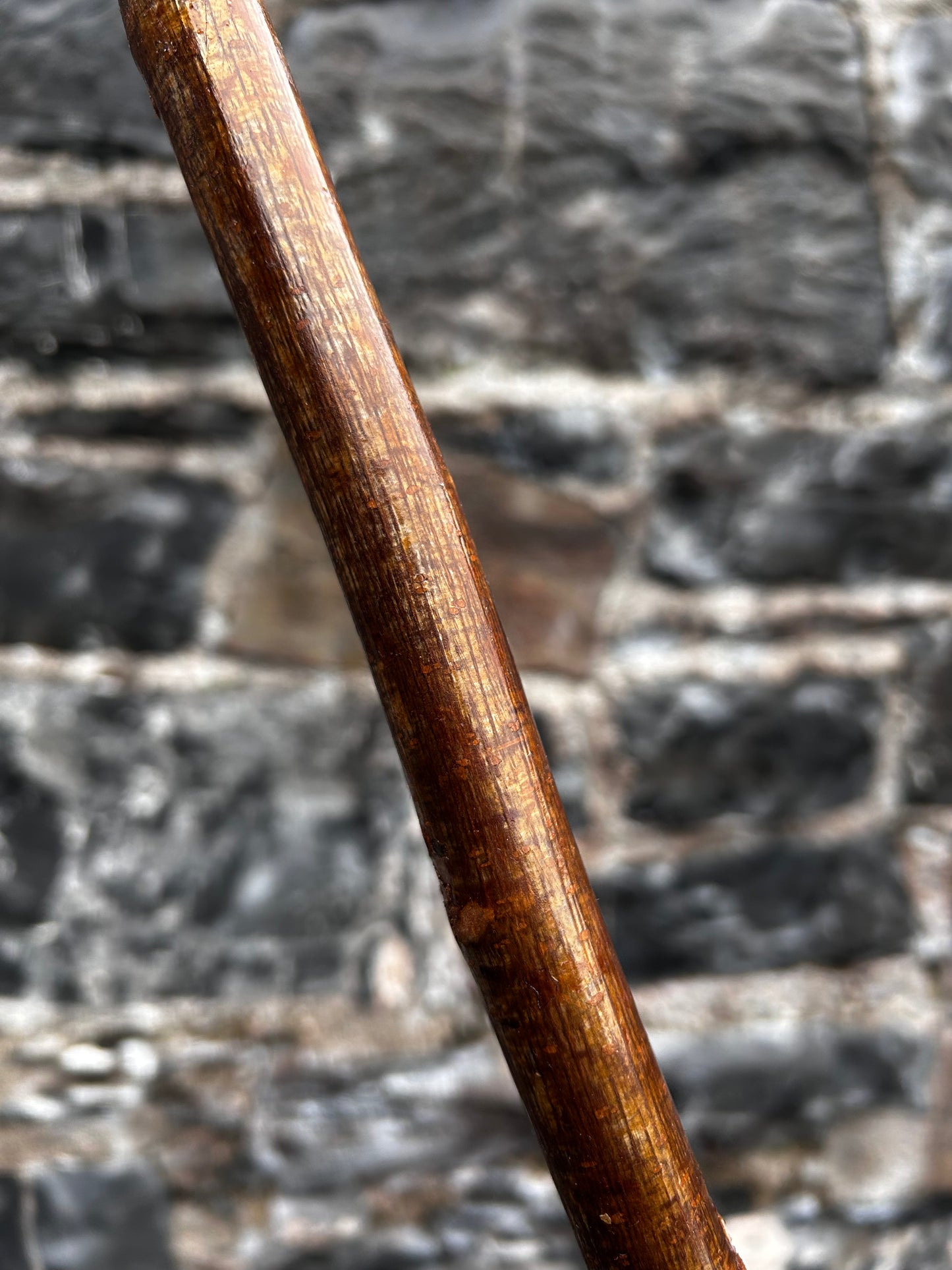 Sold - Unique Hazel Walking Stick with Finished Head – 98 cm (38.5”)