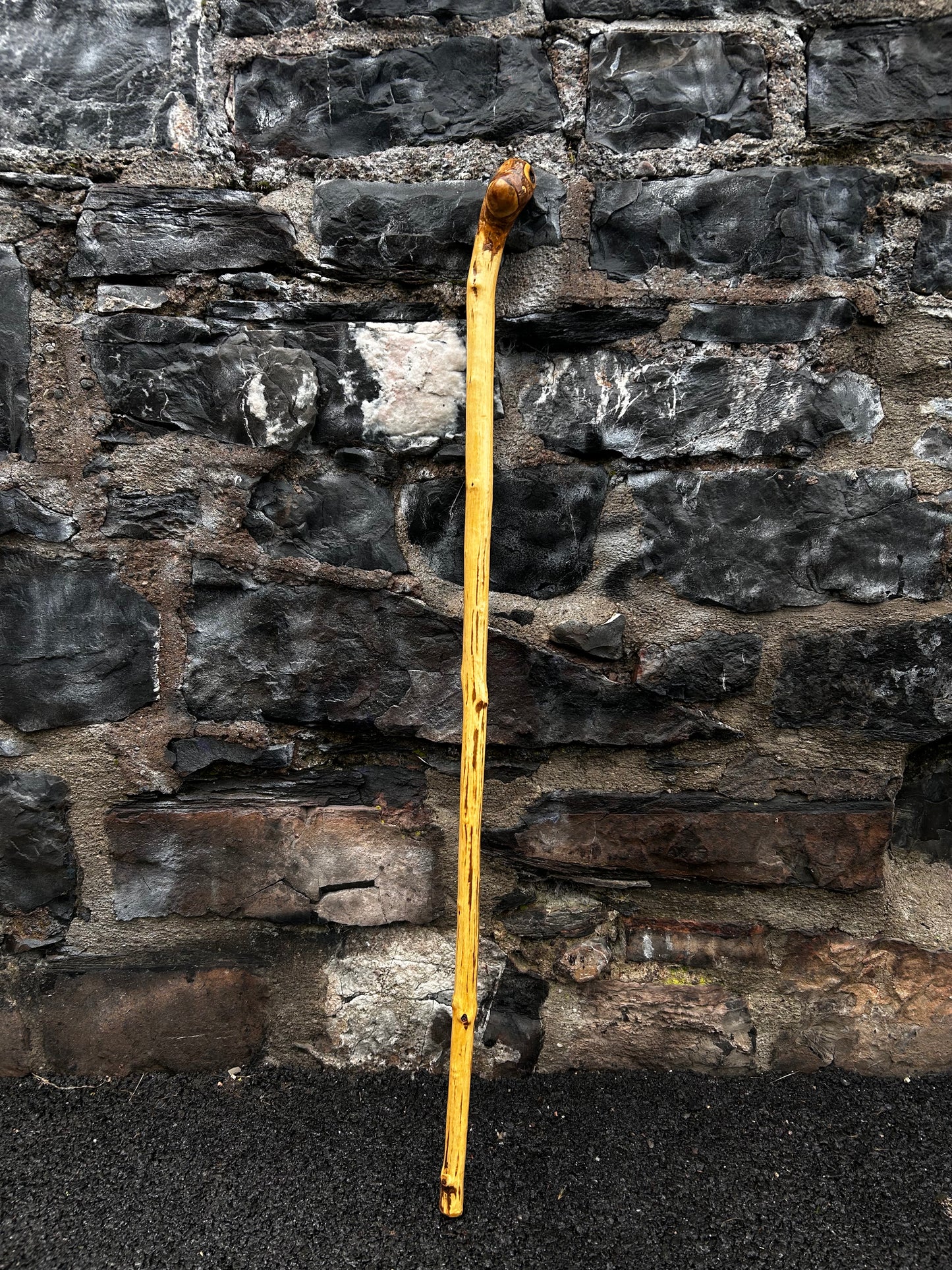 Classic Hazel Walking Stick with Knob Head – 104 cm (40.9”)