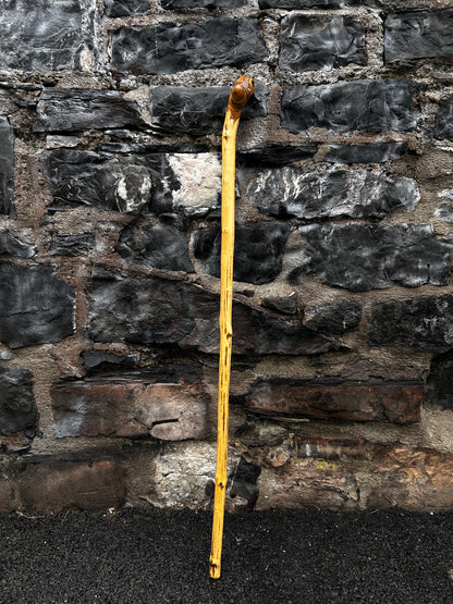 Classic Hazel Walking Stick with Knob Head – 104 cm (40.9”)