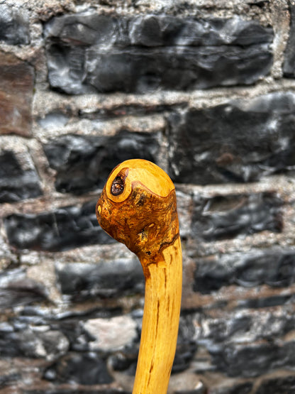 Classic Hazel Walking Stick with Knob Head – 104 cm (40.9”)