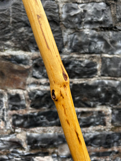 Classic Hazel Walking Stick with Knob Head – 104 cm (40.9”)