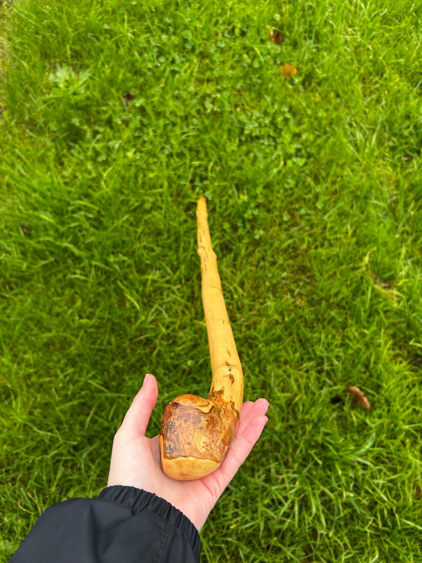 Classic Hazel Walking Stick with Knob Head – 104 cm (40.9”)