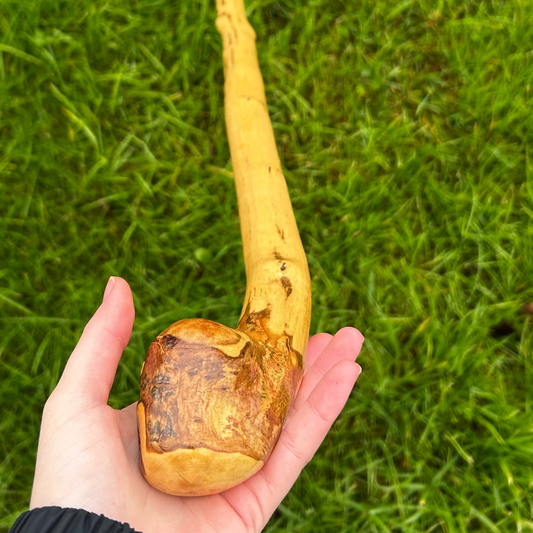 Classic Hazel Walking Stick with Knob Head – 104 cm (40.9”)