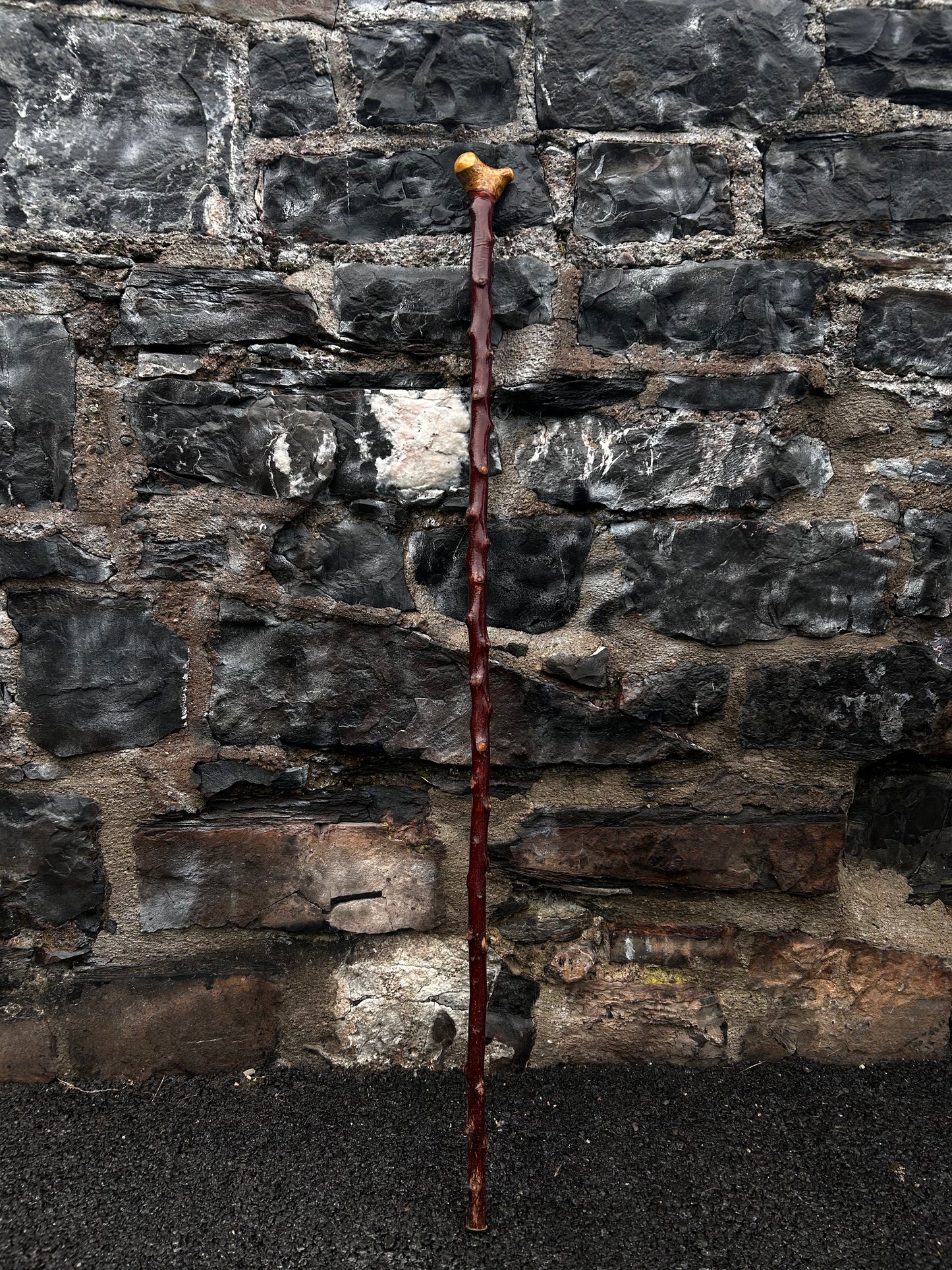 Bumpy Blackthorn Walking Stick with Knob Head – 116 cm (45.6”)