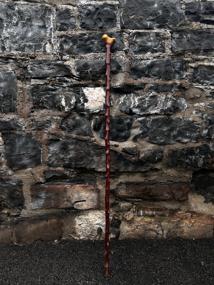 Bumpy Blackthorn Walking Stick with Knob Head – 116 cm (45.6”)