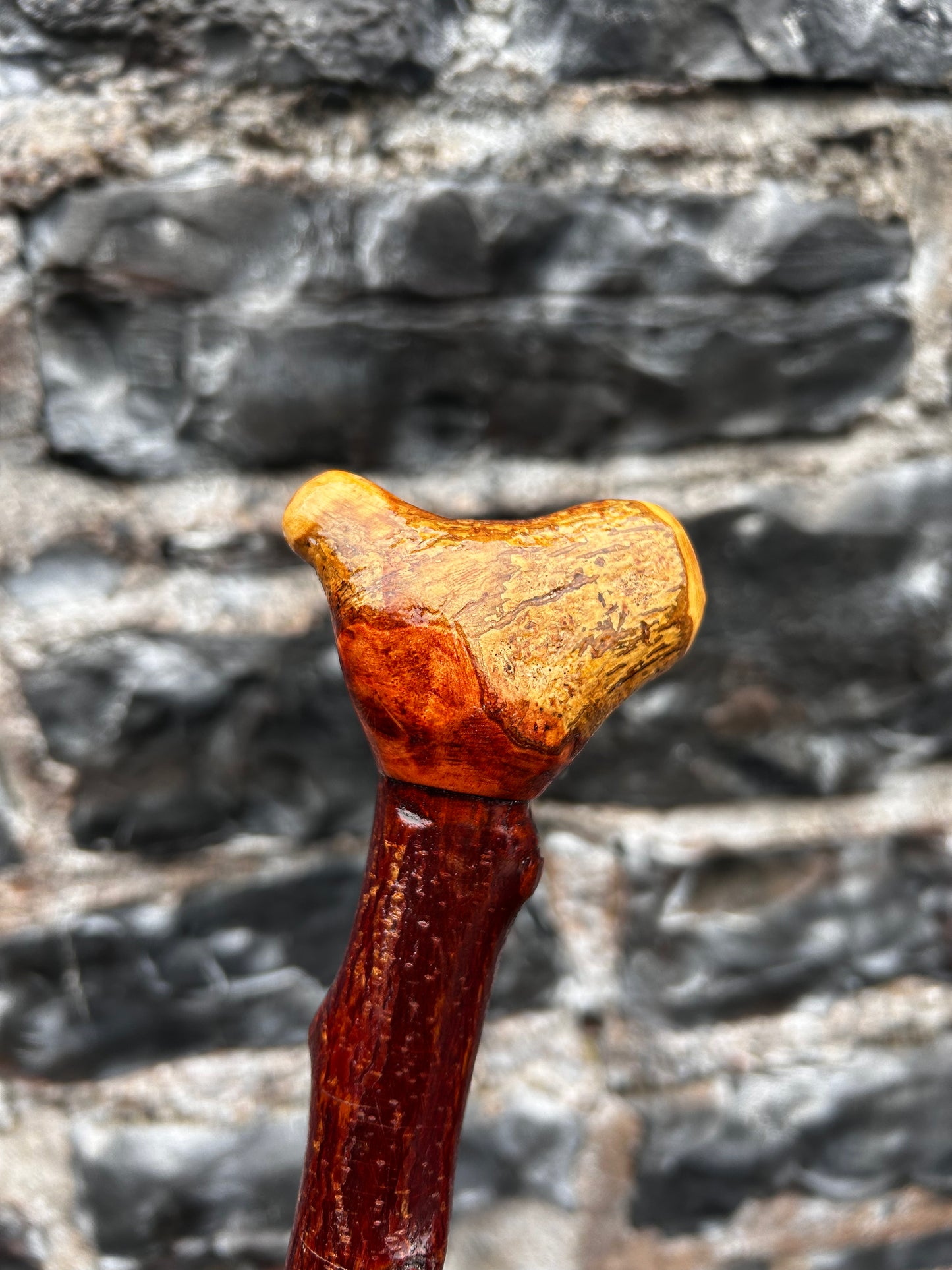 Bumpy Blackthorn Walking Stick with Knob Head – 116 cm (45.6”)