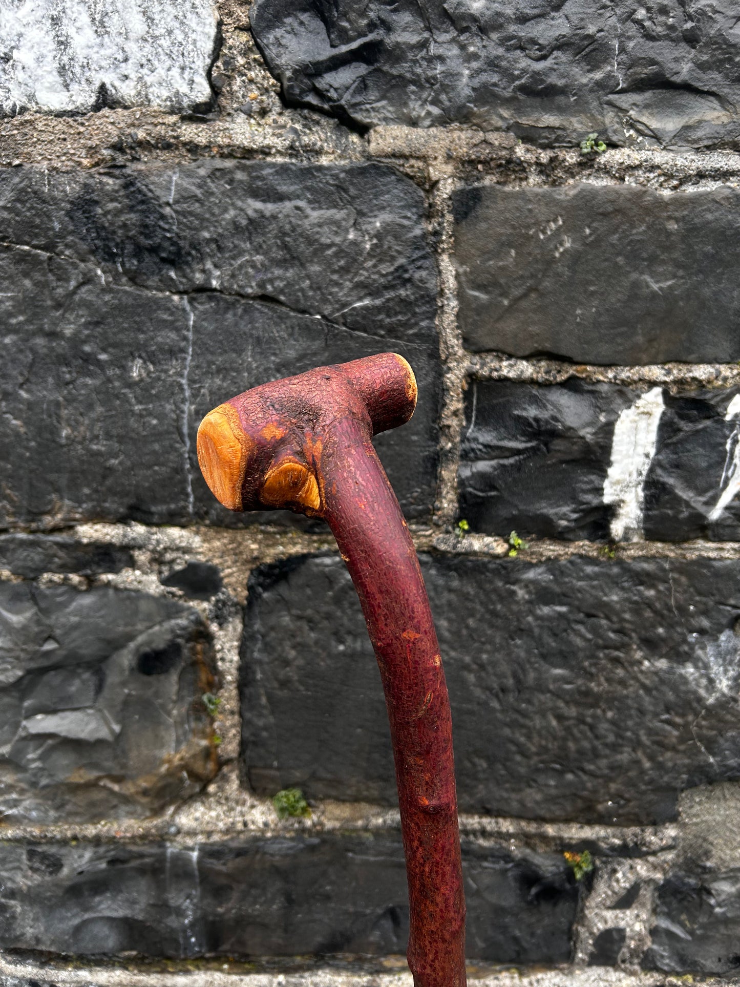 Sold - Blackthorn Walking Stick with Large T-Style Handle – 102 cm (40.1”)