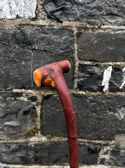 Sold - Blackthorn Walking Stick with Large T-Style Handle – 102 cm (40.1”)