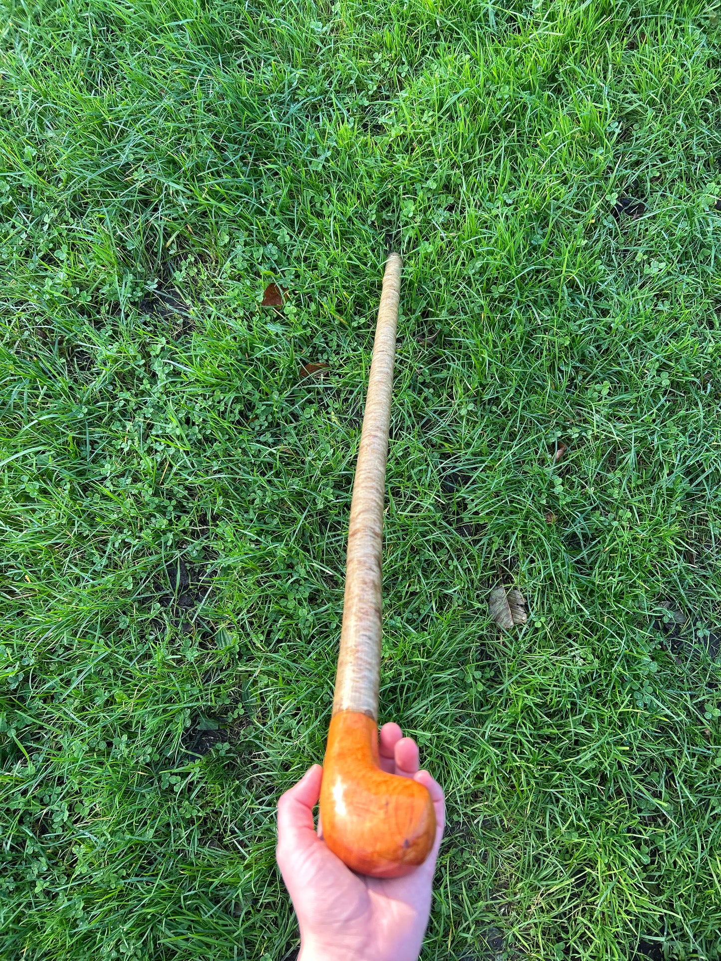 Two-Piece Hazel Walking Stick with Spalted Beech Head – 96 cm (37.8”)