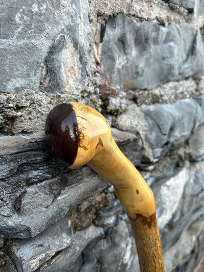 Luxury Hazel Walking Stick with Dark Varnished Head – 108 cm (42.5”)