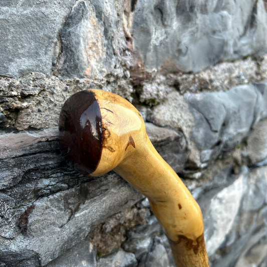 Luxury Hazel Walking Stick with Dark Varnished Head – 107 cm (42”)