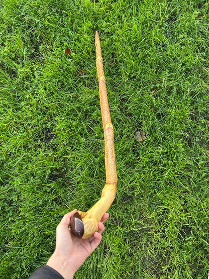 Luxury Hazel Walking Stick with Dark Varnished Head – 108 cm (42.5”)