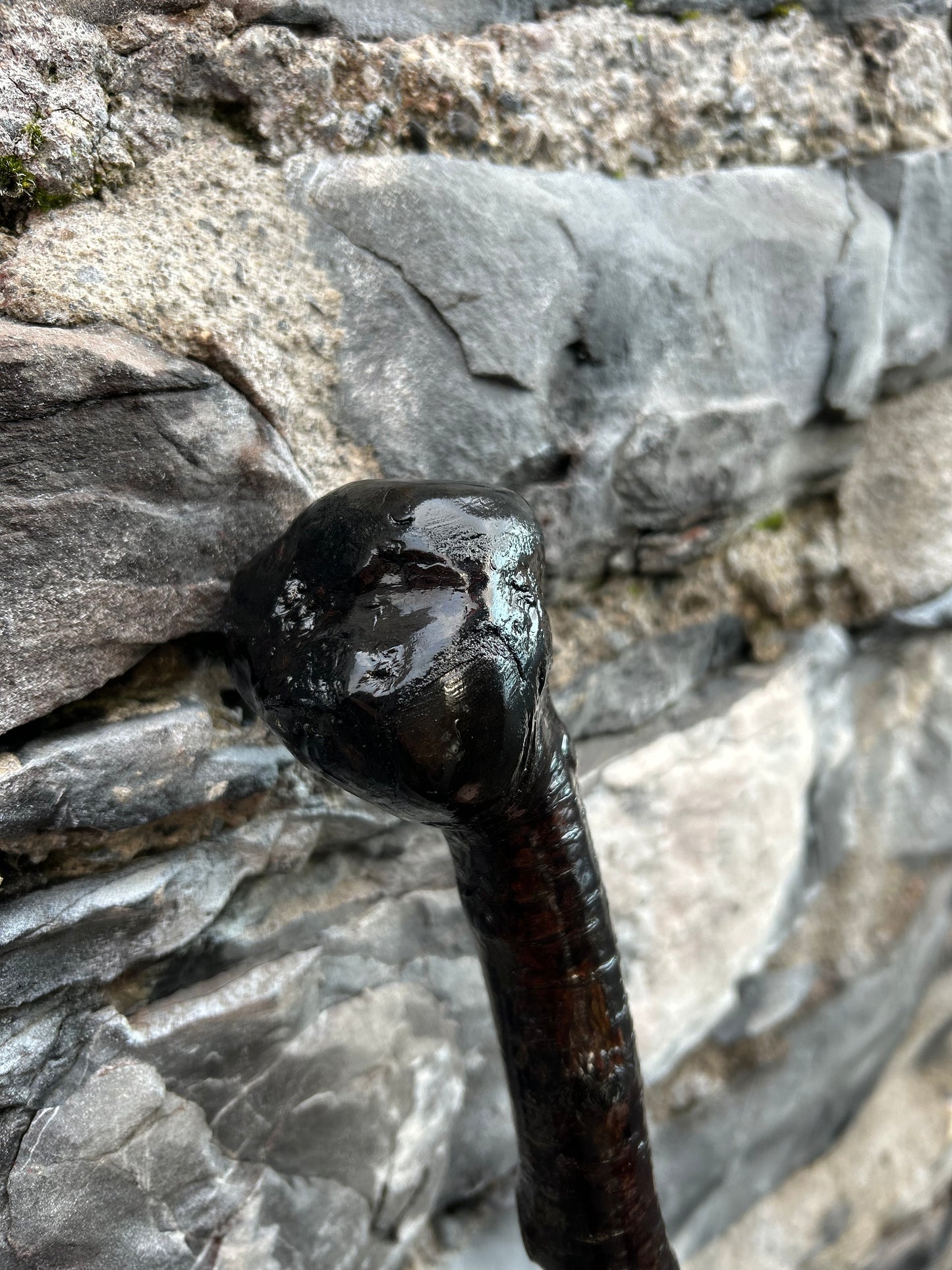 Black-Painted Blackthorn Walking Stick with Smooth Round Handle – 100 cm (39.4”)