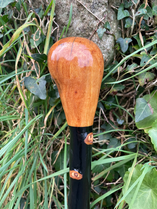 Luxury Blackthorn walking stick with Bulb head