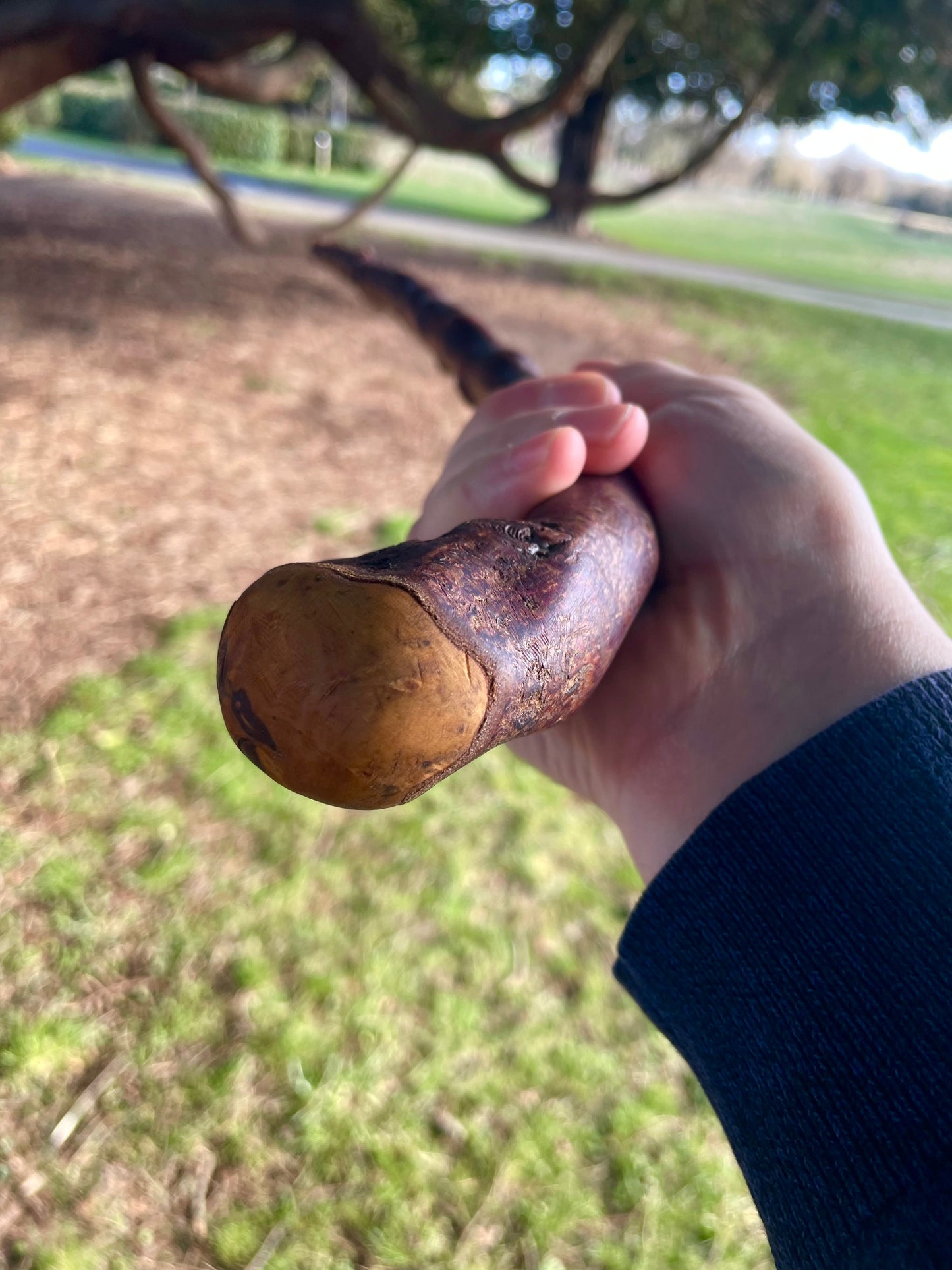Blackthorn walking stick with curved handle