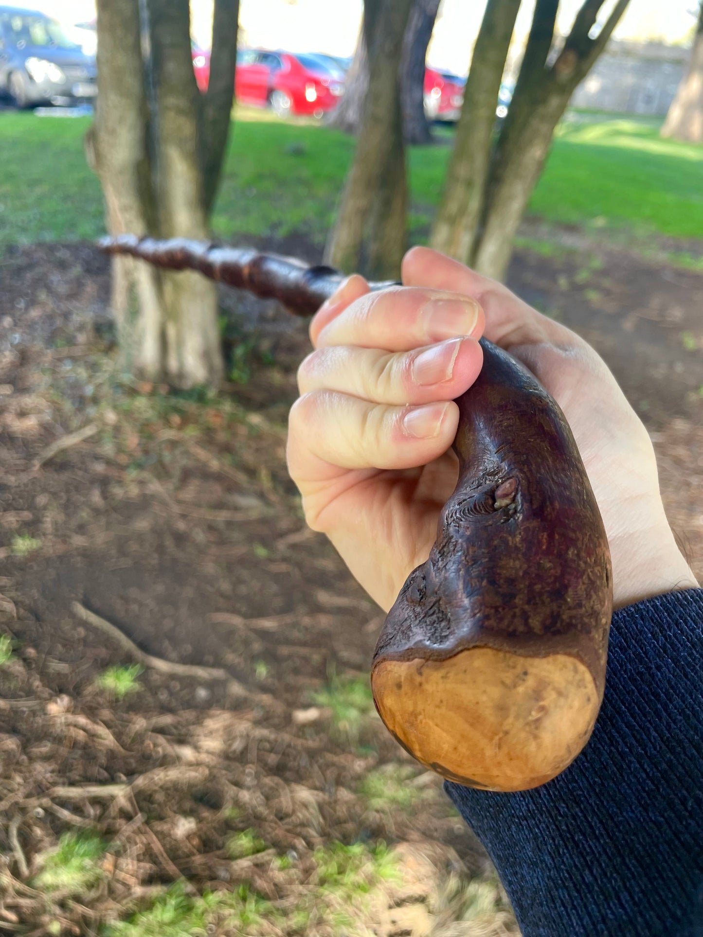 Blackthorn walking stick with curved handle