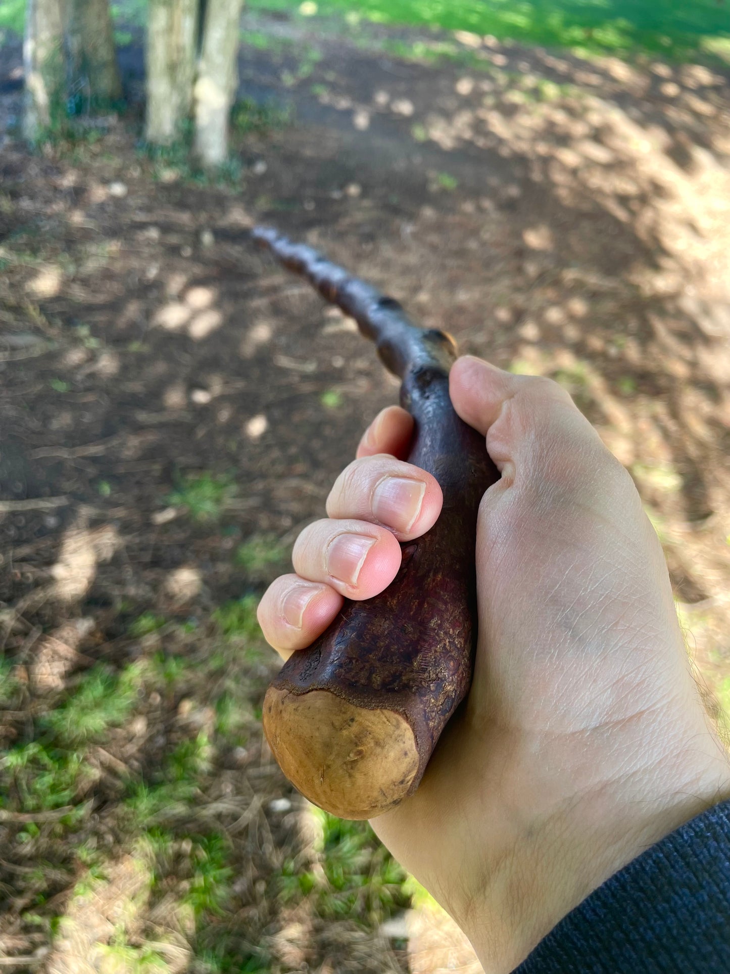 Blackthorn walking stick with curved handle