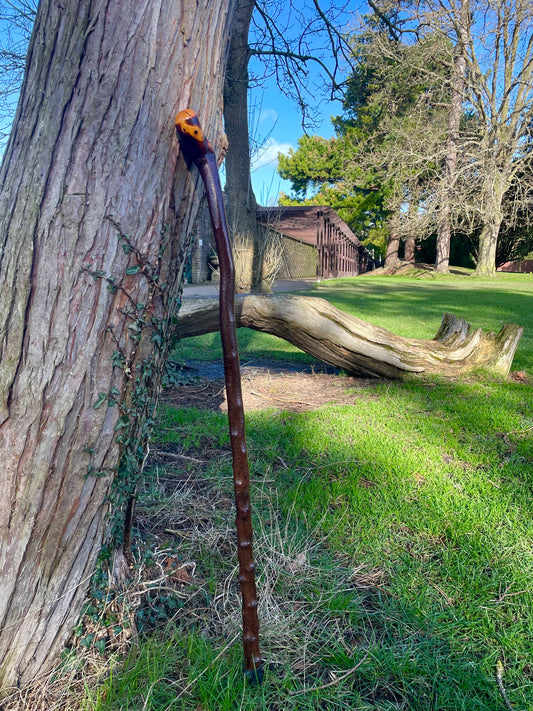 Blackthorn walking stick with curved handle